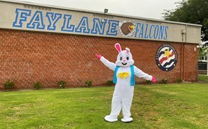 Faylane PTA: Spring Into Fun Coloring Contest - article thumnail image